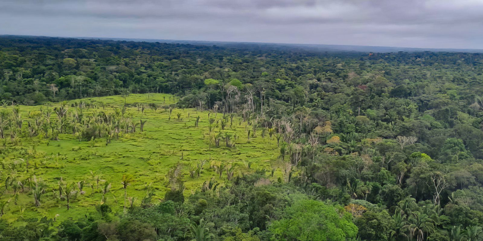 Imazon aponta desmatamento zero em 60% de terras indígenas na Amazônia