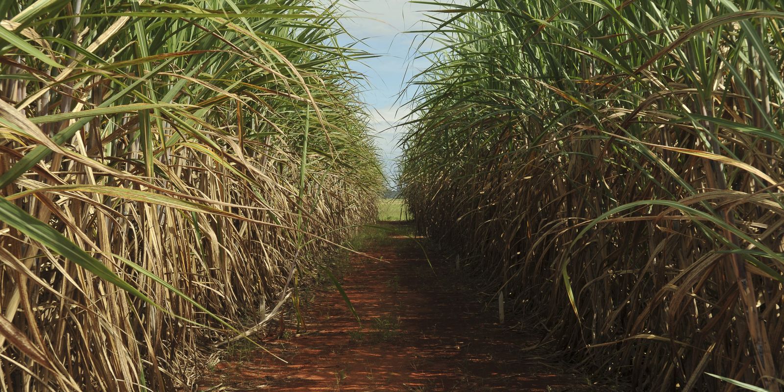Conselho eleva limite de remuneração do Eco Invest Brasil