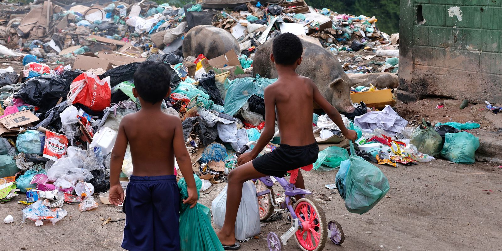 Senado aprova direito prioritário da criança a meio ambiente saudável