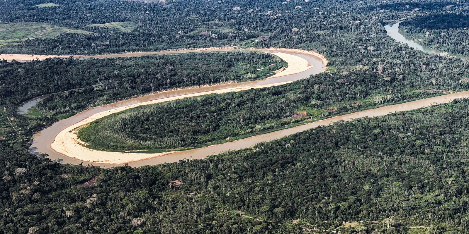 Holanda anuncia US$ 500 milhões em fundo florestal criado pelo Brasil