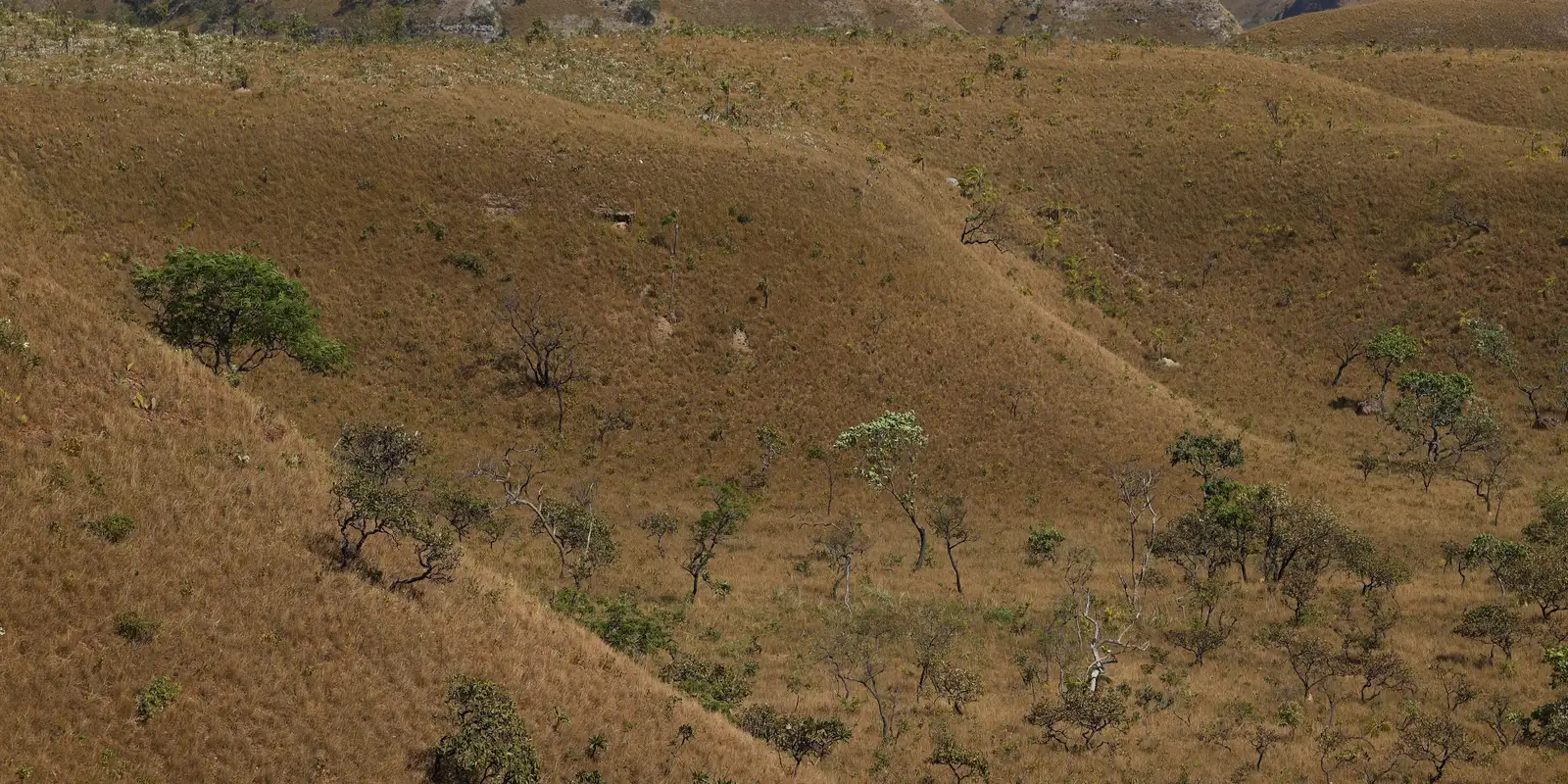 MapBiomas: fragmentação de áreas naturais triplicou em 40 anos no país