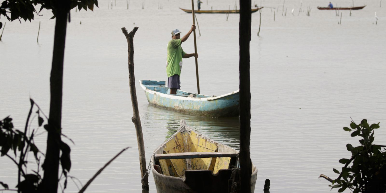 Conferências estaduais de aquicultura e pesca serão em junho e jullho