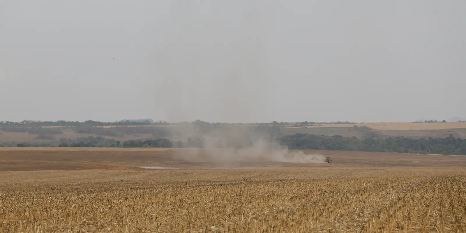 Estudo propõe avanços na rastreabilidade ambiental da soja e da carne